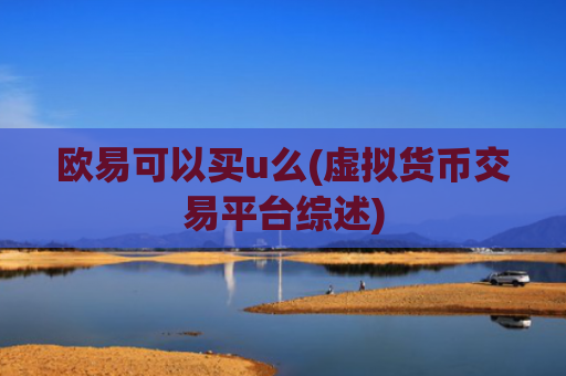 欧易可以买u么(虚拟货币交易平台综述)