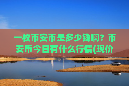 一枚币安币是多少钱啊?币安币今日有什么行情(现价5270.47元)
