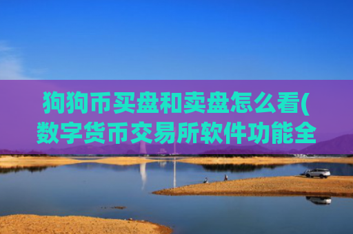 狗狗币买盘和卖盘怎么看(数字货币交易所软件功能全面)