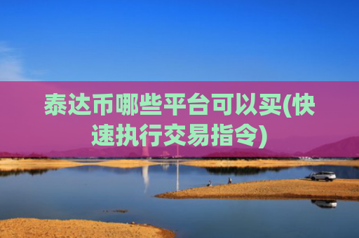 泰达币哪些平台可以买(快速执行交易指令)