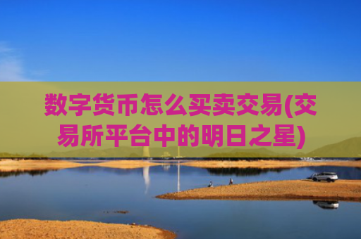数字货币怎么买卖交易(交易所平台中的明日之星)