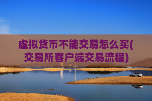 虚拟货币不能交易怎么买(交易所客户端交易流程)