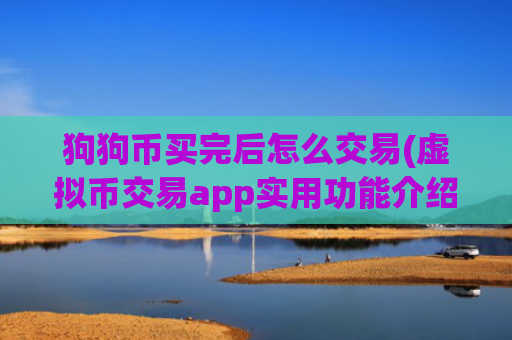 狗狗币买完后怎么交易(虚拟币交易app实用功能介绍)