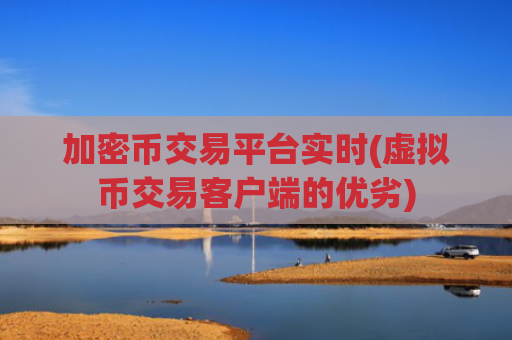 加密币交易平台实时(虚拟币交易客户端的优劣)