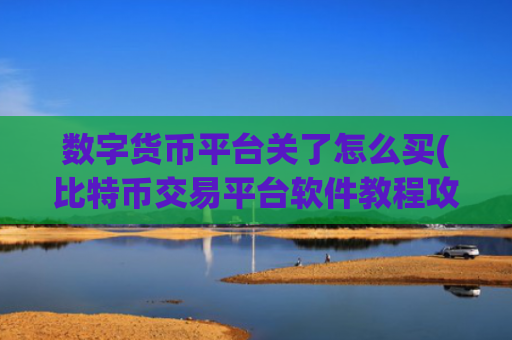 数字货币平台关了怎么买(比特币交易平台软件教程攻略)