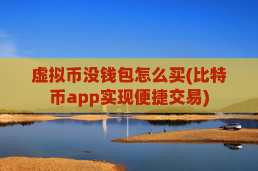 虚拟币没钱包怎么买(比特币app实现便捷交易)