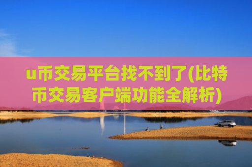 u币交易平台找不到了(比特币交易客户端功能全解析)