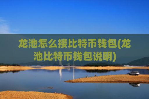 龙池怎么接比特币钱包(龙池比特币钱包说明)