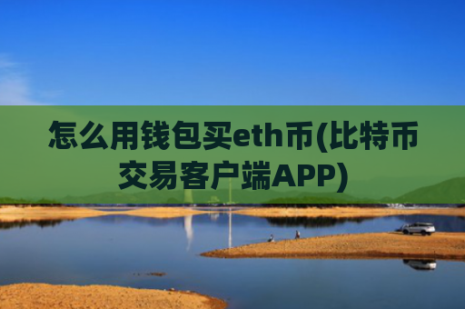 怎么用钱包买eth币(比特币交易客户端APP)