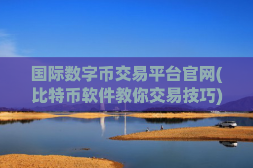 国际数字币交易平台官网(比特币软件教你交易技巧)