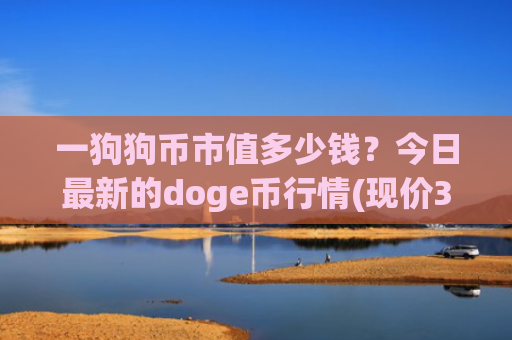 一狗狗币市值多少钱?今日最新的doge币行情(现价3.1647元)