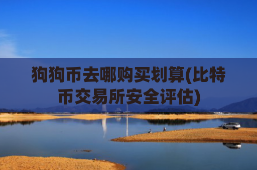 狗狗币去哪购买划算(比特币交易所安全评估)
