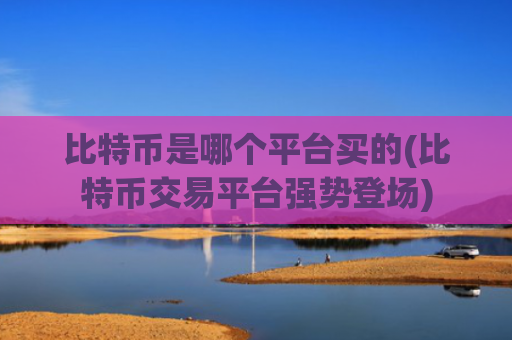 比特币是哪个平台买的(比特币交易平台强势登场)