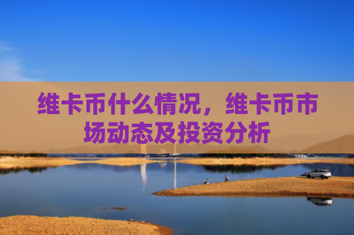 维卡币什么情况，维卡币市场动态及投资分析