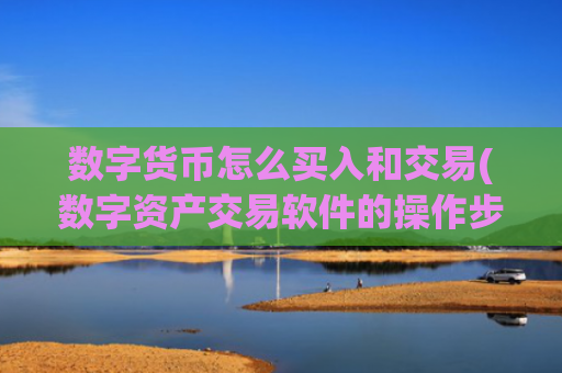 数字货币怎么买入和交易(数字资产交易软件的操作步骤详解)