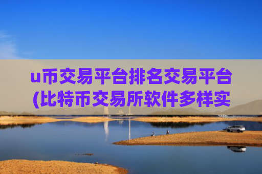 u币交易平台排名交易平台(比特币交易所软件多样实用)