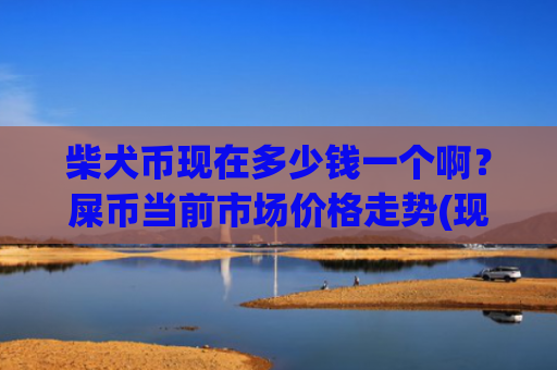 柴犬币现在多少钱一个啊？屎币当前市场价格走势(现价0.00022386元)