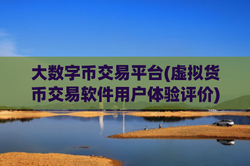 大数字币交易平台(虚拟货币交易软件用户体验评价)
