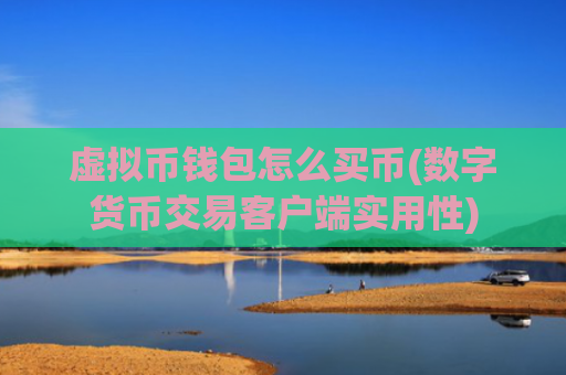 虚拟币钱包怎么买币(数字货币交易客户端实用性)