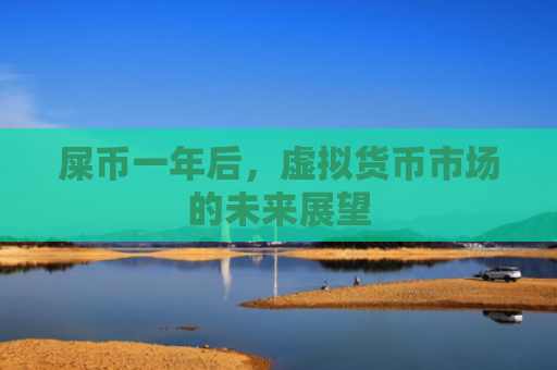 屎币一年后，虚拟货币市场的未来展望
