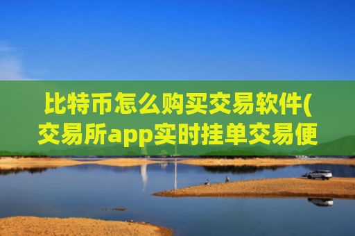比特币怎么购买交易软件(交易所app实时挂单交易便捷)