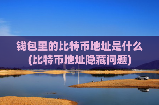 钱包里的比特币地址是什么(比特币地址隐藏问题)