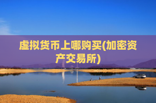虚拟货币上哪购买(加密资产交易所)