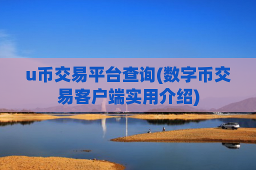 u币交易平台查询(数字币交易客户端实用介绍)