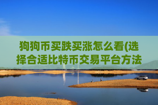 狗狗币买跌买涨怎么看(选择合适比特币交易平台方法)