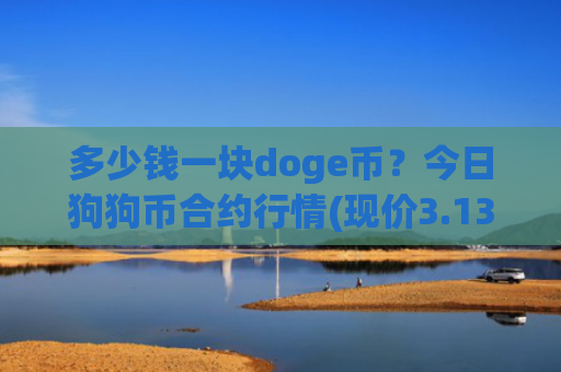 多少钱一块doge币?今日狗狗币合约行情(现价3.1385元)