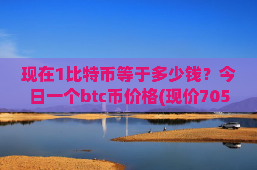 现在1比特币等于多少钱？今日一个btc币价格(现价705998.14元)