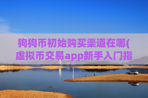 狗狗币初始购买渠道在哪(虚拟币交易app新手入门指南)