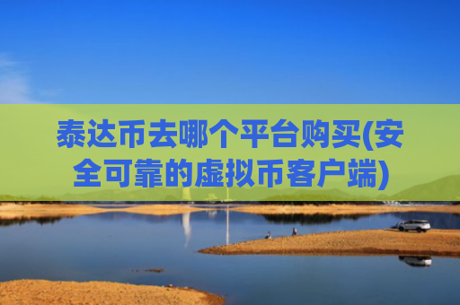 泰达币去哪个平台购买(安全可靠的虚拟币客户端)