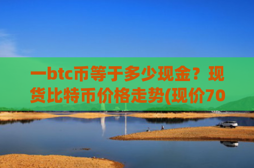 一btc币等于多少现金？现货比特币价格走势(现价706346.61元)