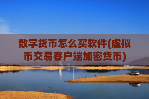 数字货币怎么买软件(虚拟币交易客户端加密货币)