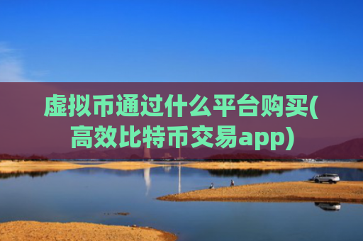 虚拟币通过什么平台购买(高效比特币交易app)