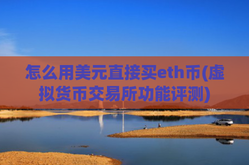 怎么用美元直接买eth币(虚拟货币交易所功能评测)