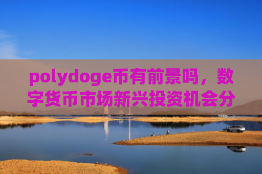 polydoge币有前景吗，数字货币市场新兴投资机会分析