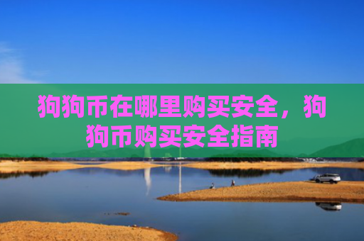 狗狗币在哪里购买安全,狗狗币购买安全指南