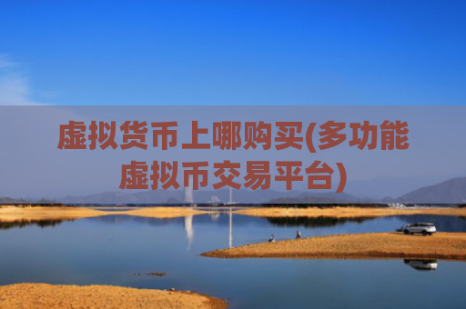 虚拟货币上哪购买(多功能虚拟币交易平台)