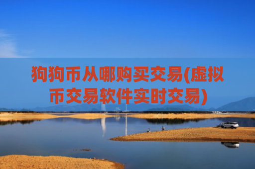 狗狗币从哪购买交易(虚拟币交易软件实时交易)
