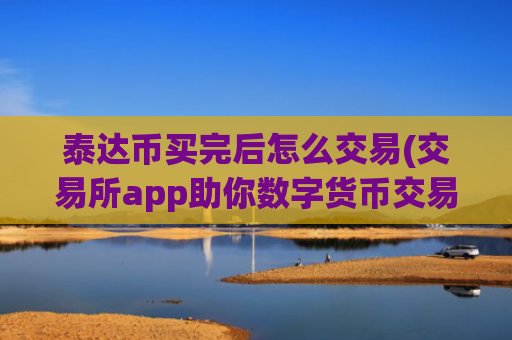 泰达币买完后怎么交易(交易所app助你数字货币交易)
