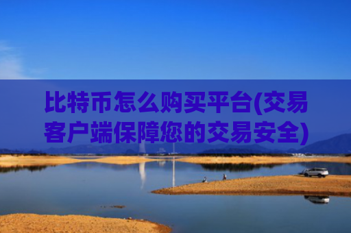 比特币怎么购买平台(交易客户端保障您的交易安全)