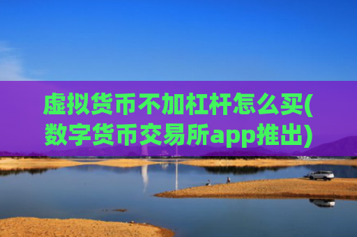 虚拟货币不加杠杆怎么买(数字货币交易所app推出)