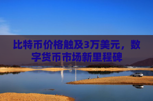 比特币价格触及3万美元，数字货币市场新里程碑