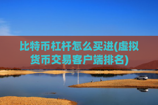 比特币杠杆怎么买进(虚拟货币交易客户端排名)