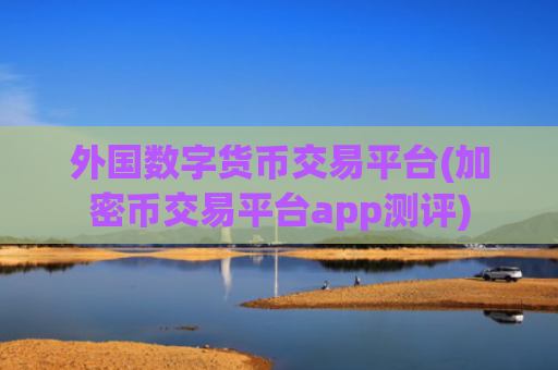 外国数字货币交易平台(加密币交易平台app测评)