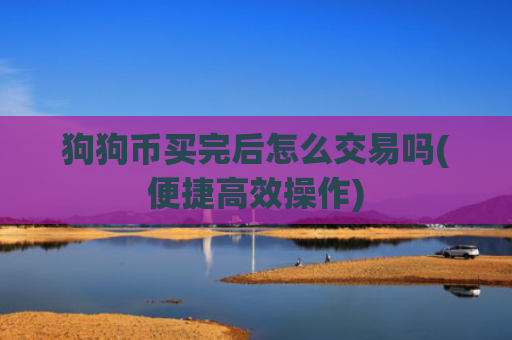 狗狗币买完后怎么交易吗(便捷高效操作)