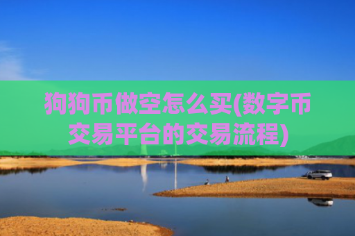 狗狗币做空怎么买(数字币交易平台的交易流程)