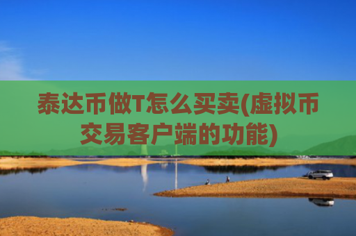 泰达币做T怎么买卖(虚拟币交易客户端的功能)